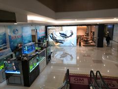 -居然之家(黑龙江南路店)