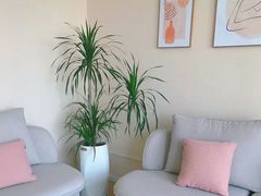 -星美科技皮肤管理中心(国贸店)