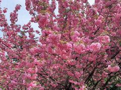 -河南省黄河迎宾馆