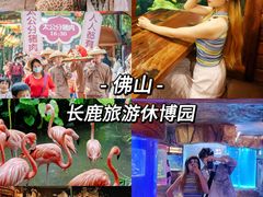 -长鹿旅游休博园