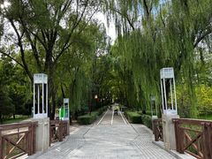 -古塔公园