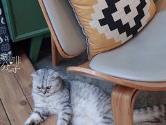 -拾壹cafe·工作室