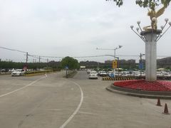 -胜华驾校·小猫学车(银都店)