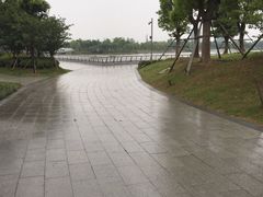 iphone_upload_pic-南翔镇银翔湖公园