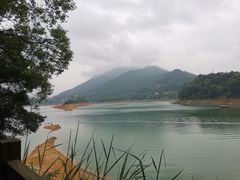 -广州市流溪河国家森林公园
