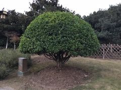 -花溪公园