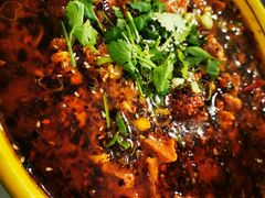 -熊猫川菜馆 panda chine