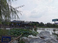 -兴芮温泉度假区