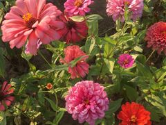 -皇粮浜湿地公园