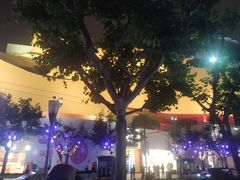 -静安公园(静安寺街道)