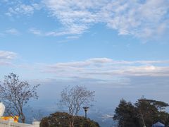 -黄埔油麻山森林公园