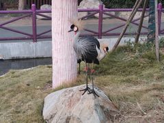 -灵玲国际马戏城