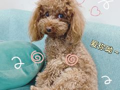 -安琳acKONA咖啡(市南店)