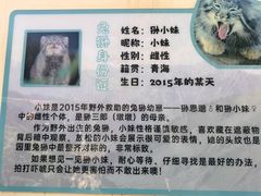 -青藏高原野生动物园