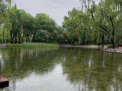 -玲珑塔公园