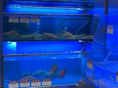 -協成海鮮火鍋(老店)