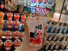-南纪白浜Toretore市场