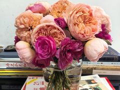 -人民公园(罗湖区)