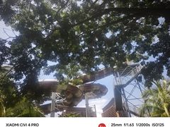 -亚马逊丛林水乐园