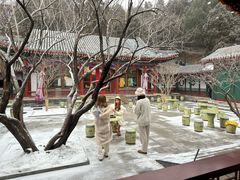 -宫事颐庭·老佛爷贵寿下午茶(颐和园店)