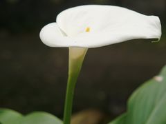 -海窝子古镇