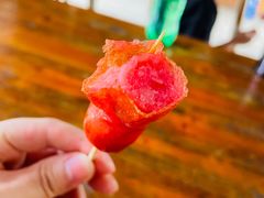 -宁波浙东大竹海景区