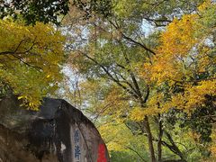 -乌山风景区