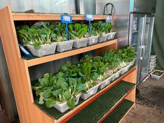 -老阿爸鲜鱼土菜(昆山花桥店)