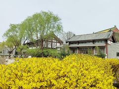 -济南国际园博园