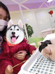 -Moni星球萌宠·小马宝莉·灵蛇·高端高阶全萌宠互动体验俱乐部(红豆国际广场店)