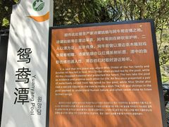 -石台牯牛降景区
