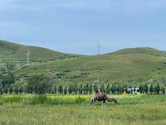 -石条山