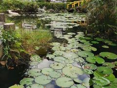 -深圳国际园林花卉博览园