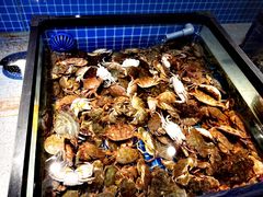 梭子蟹-圣罗巴海鲜自助(黑金店)