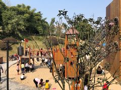 -枫香湖儿童公园