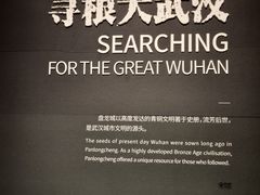 -盘龙城国家考古遗址公园