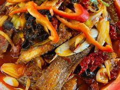 -柴窝堡22号辣子鸡·传承新疆菜