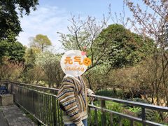 -南山植物园