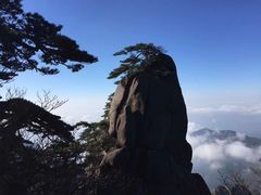 -黄山风景区