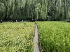 -海淀公园