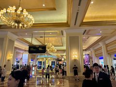 -澳门威尼斯人综合度假区