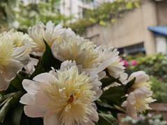 -艾加柒克蛋糕茶歇甜品台(春熙路店)