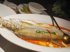 -醉庐·新上海菜(南京西路店)