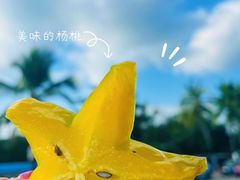 -三亚西岛海洋文化旅游区