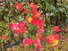 -无锡市市民中心