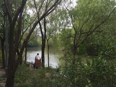 -新江湾城公园