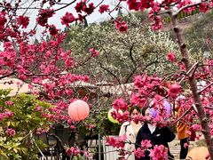 -桃源山庄·水蜜桃采摘·柴火鸡·烧烤团建(龙泉山店)