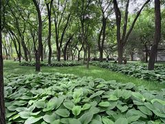 -玲珑塔公园