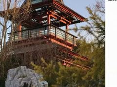 -武汉园博园(武汉自然博物馆)