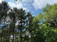 -长春市南湖公园